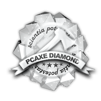 PCAXE.com logo