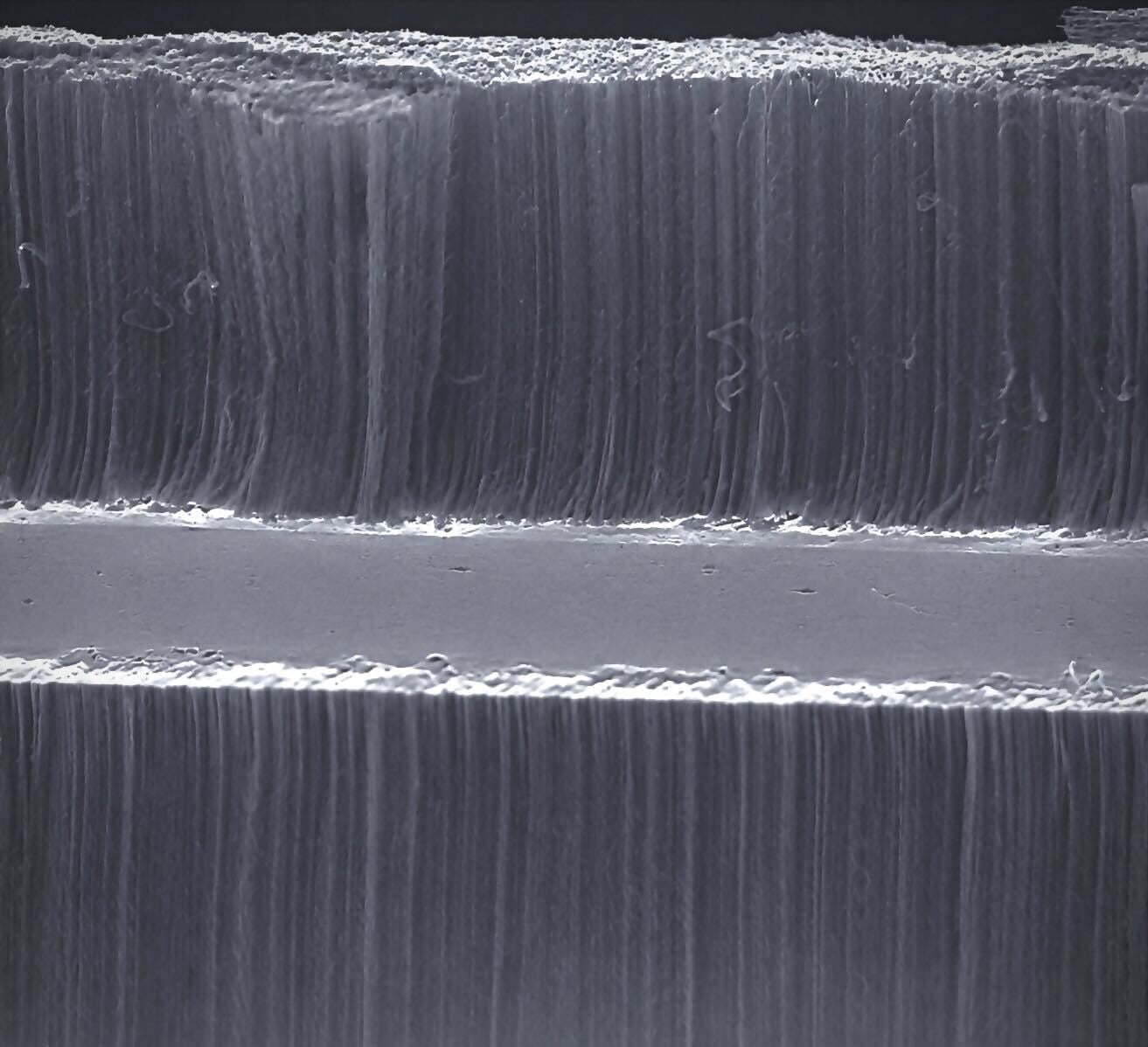 SEM image of a Carbice pad