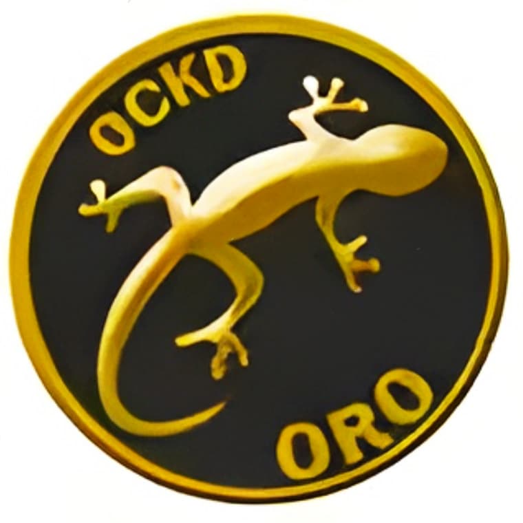 OCKD.es logo