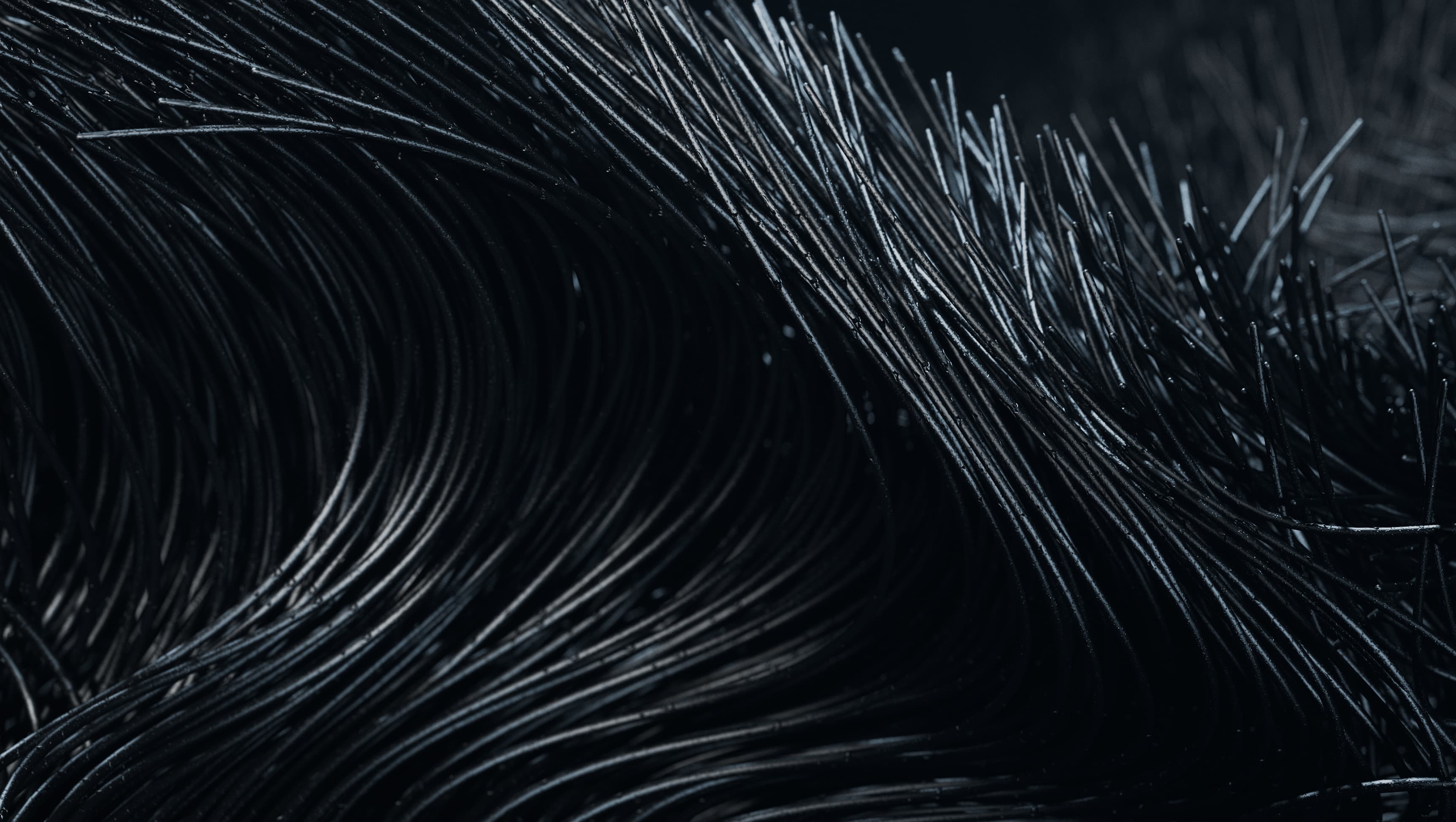Closeup rendering of carbon nonotube forests